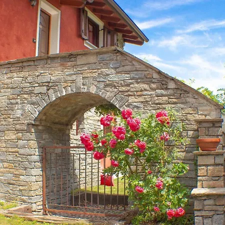 Beata Rose * كوليكو